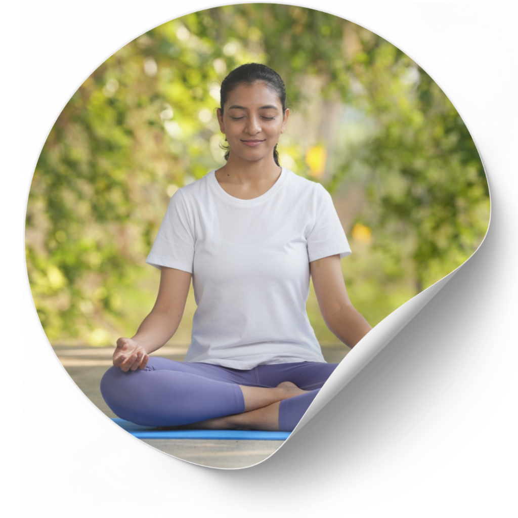 Online Meditation Program by Shunyagar